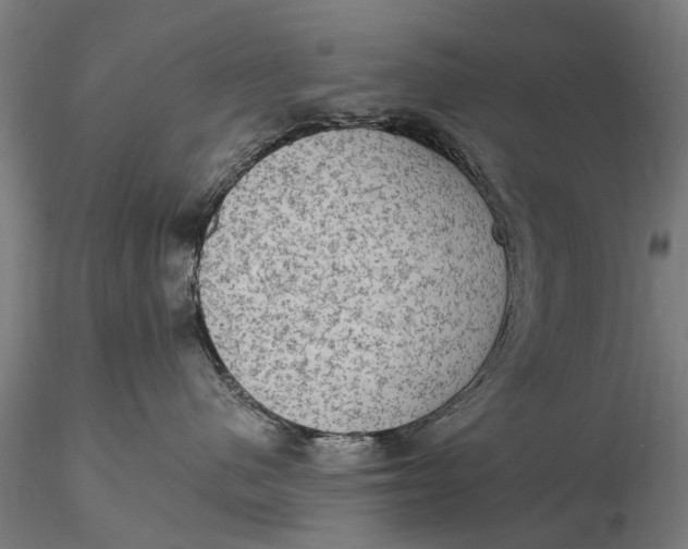 X0000115610480200912011555