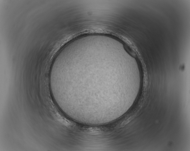 X0000115610481200912011554