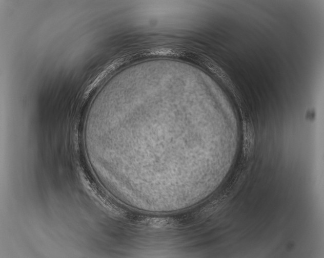 X0000115610482200912011554