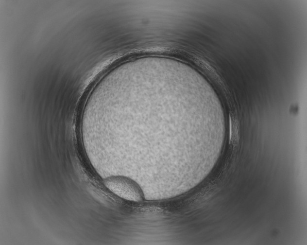 X0000115610483200912011554