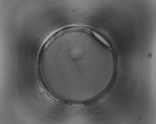 X0000115610484200912011554
