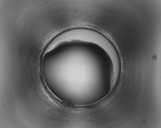X0000115610485200912011554