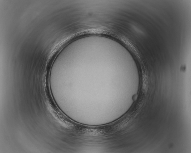 X0000115610486200912011554
