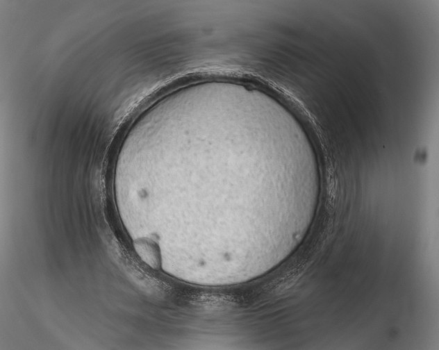 X0000115610487200912011554