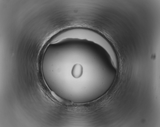 X0000115610488200912011554