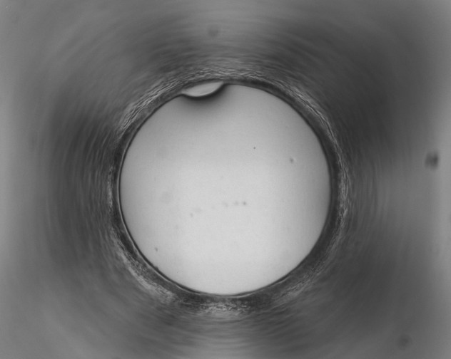 X0000115610489200912011554