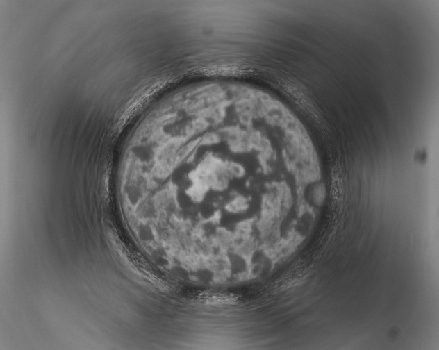 X0000115610491200912011554
