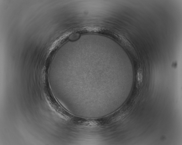 X0000115610492200912011554