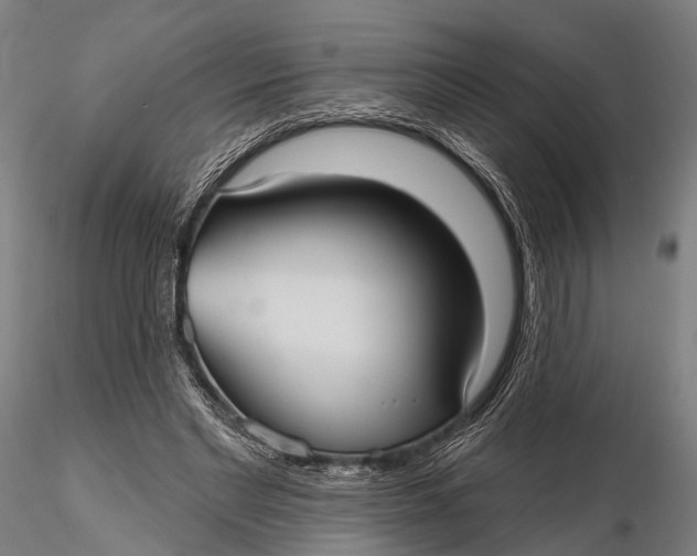X0000115610493200912011554