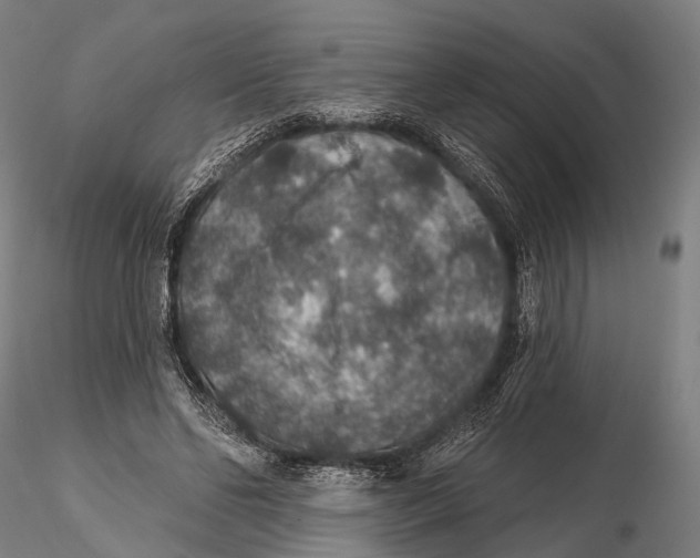 X0000115610494200912011554