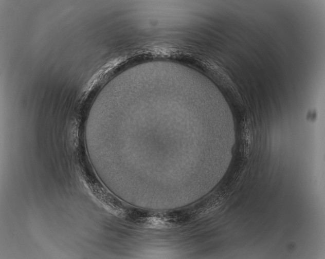 X0000115610496200912011554