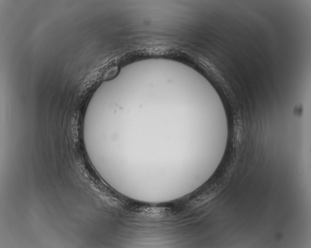 X0000115610497200912011554