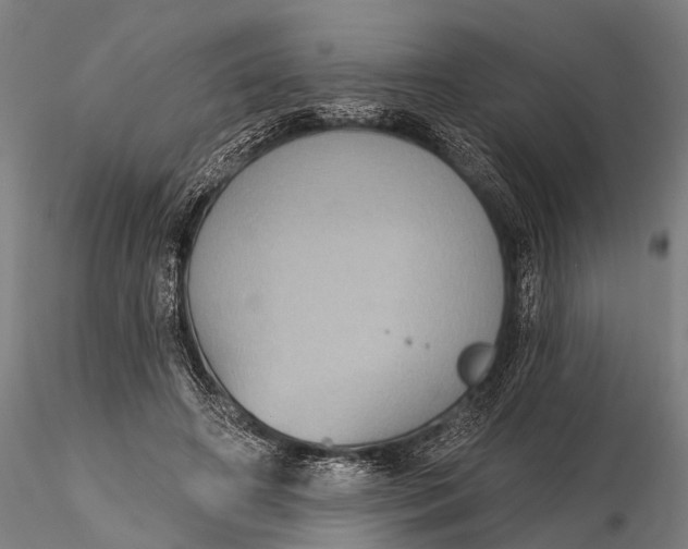 X0000115610498200912011554