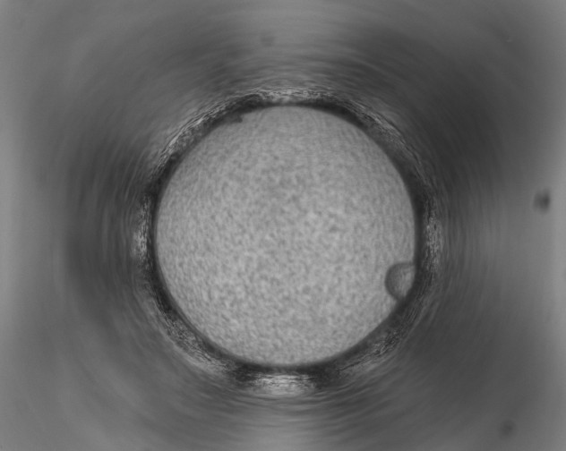 X0000115610499200912011554