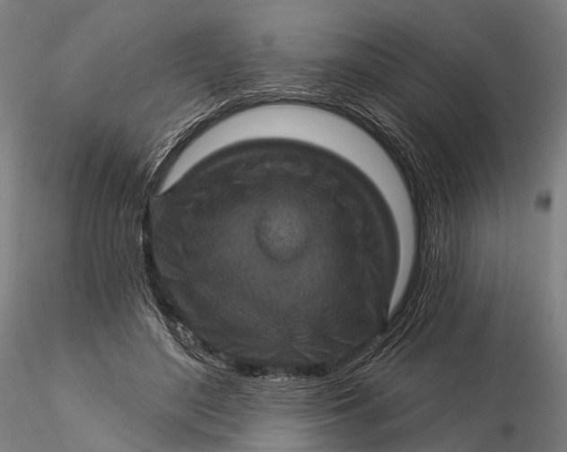 X0000115610500200912011554