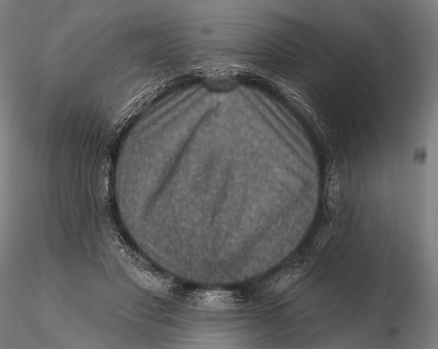 X0000115610501200912011554