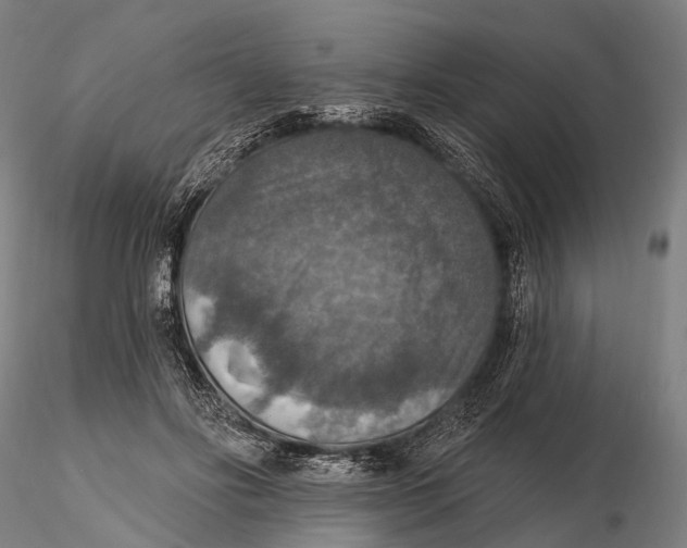 X0000115610502200912011554