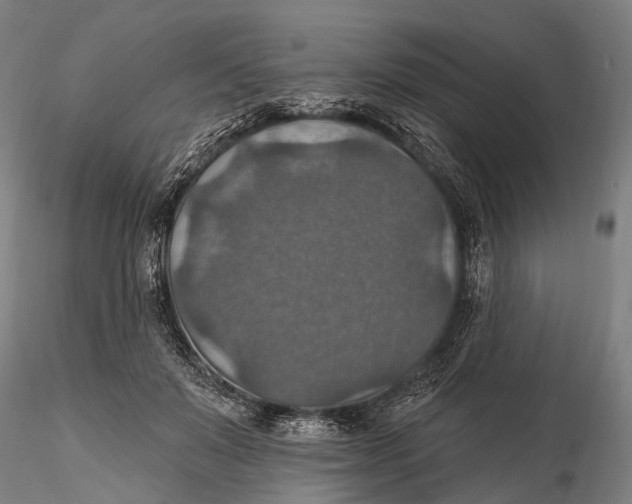 X0000115610503200912011554