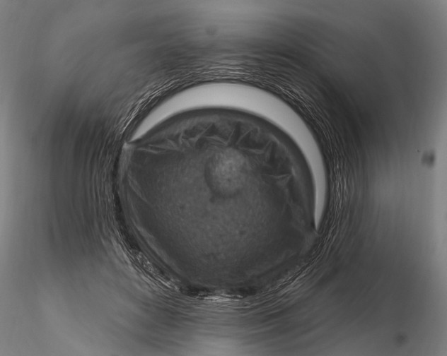X0000115610504200912011554