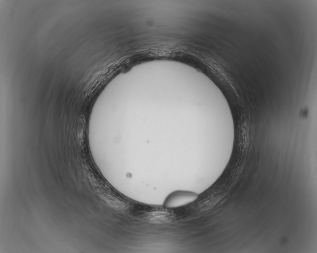 X0000115610505200912011554
