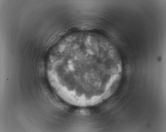 X0000115610506200912011554