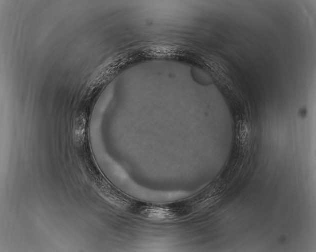 X0000115610507200912011554