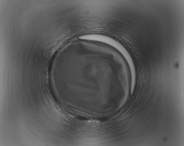 X0000115610508200912011554