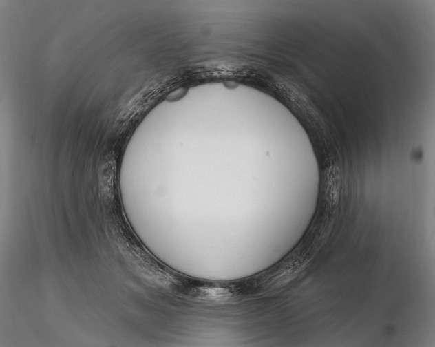X0000115610509200912011554