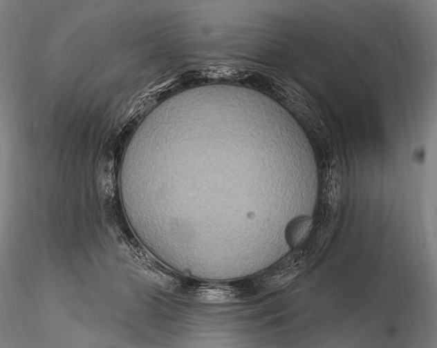 X0000115610510200912011554