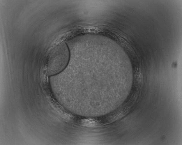 X0000115610511200912011554