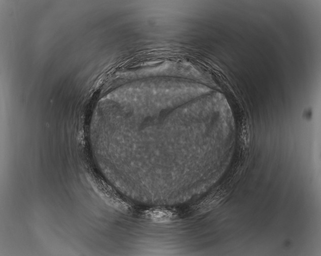 X0000115610512200912011554