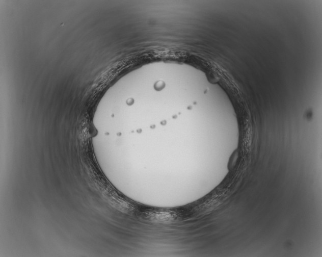 X0000115610513200912011554