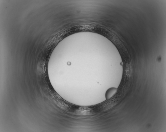 X0000115610514200912011554