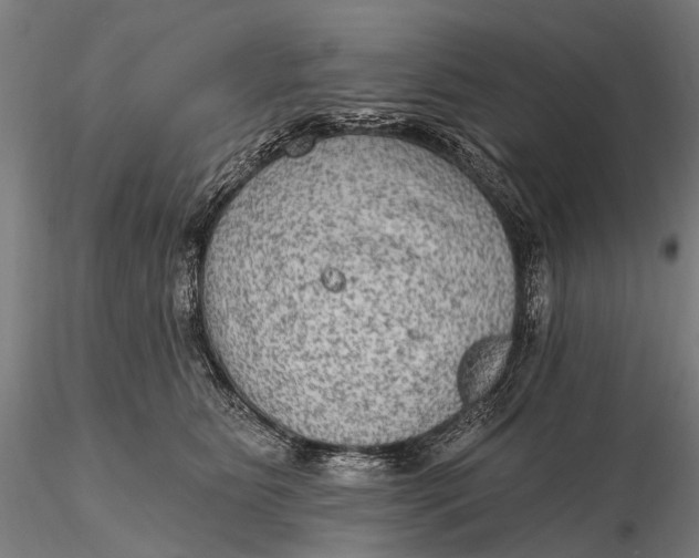 X0000115610515200912011554