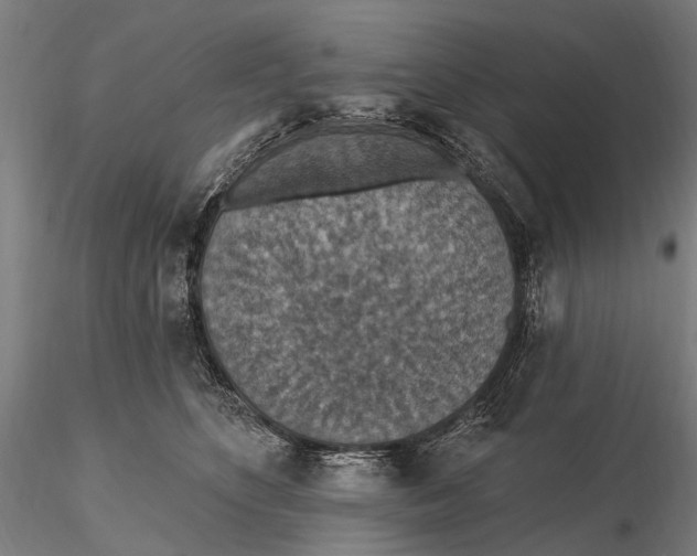 X0000115610516200912011554