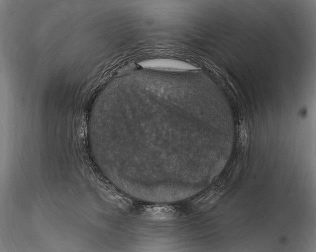 X0000115610517200912011554