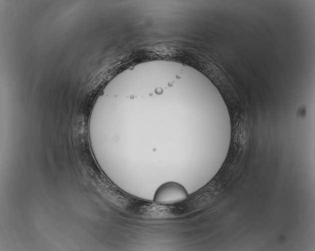 X0000115610518200912011554