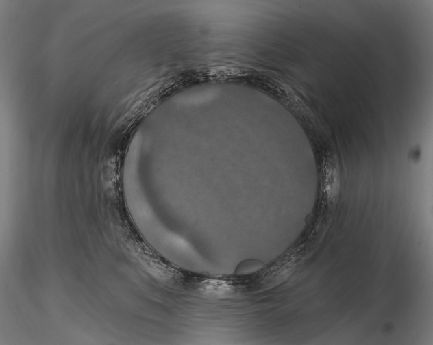 X0000115610519200912011554