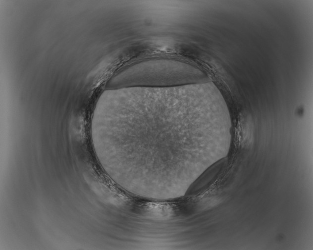 X0000115610520200912011554