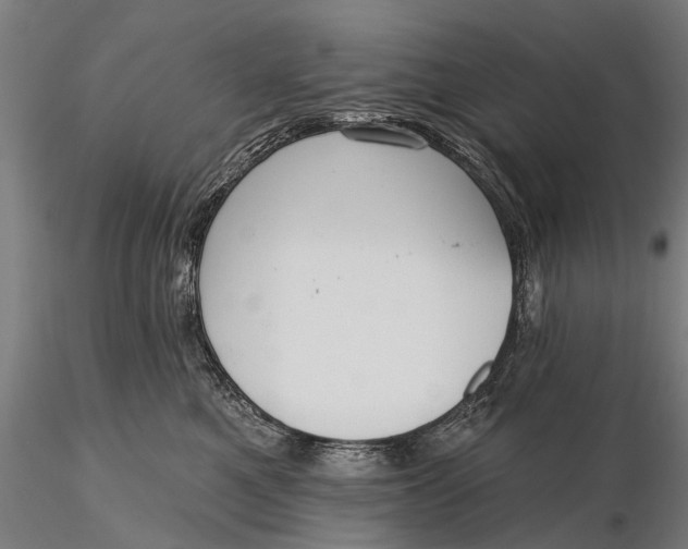 X0000115610521200912011554
