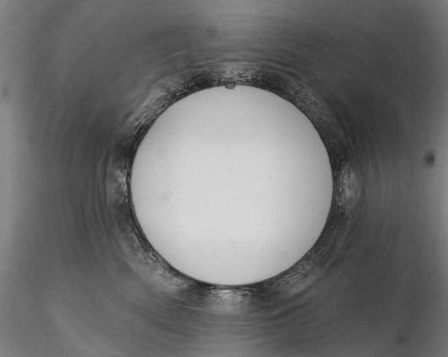 X0000115610522200912011554