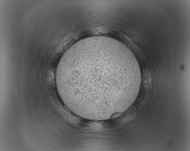 X0000115610523200912011554