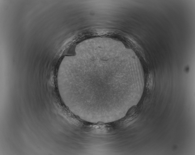 X0000115610524200912011554