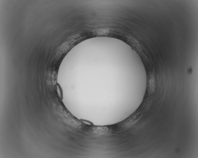 X0000115610525200912011554