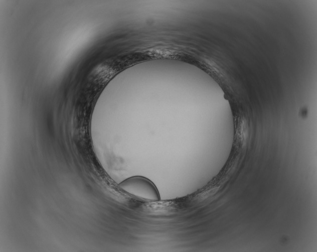 X0000115610526200912011554