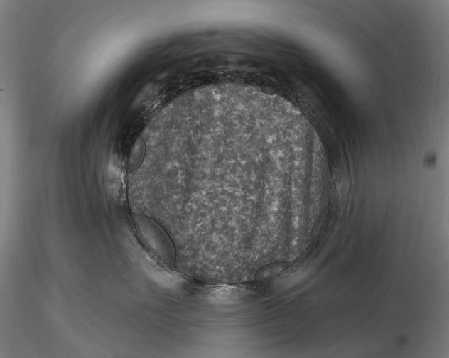 X0000115610527200912011554
