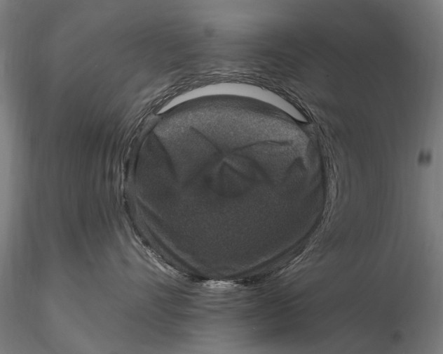 X0000115610528200912011554
