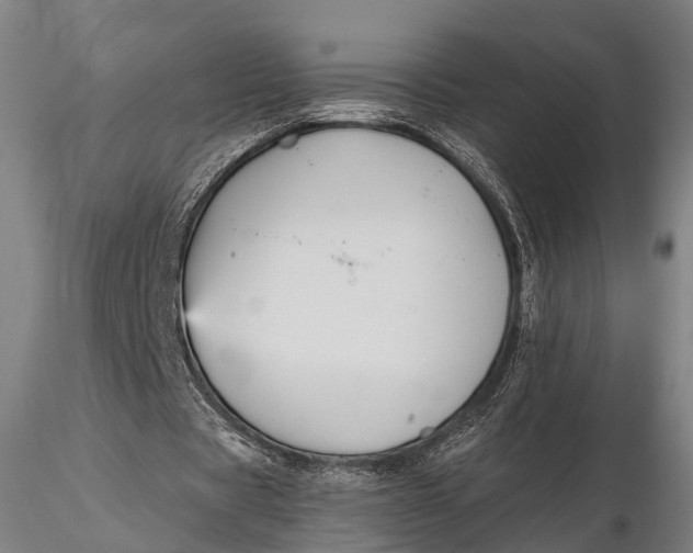 X0000115610529200912011553