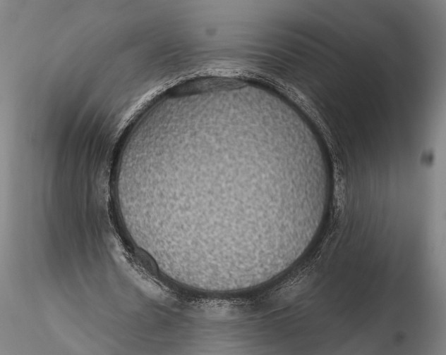 X0000115610530200912011553