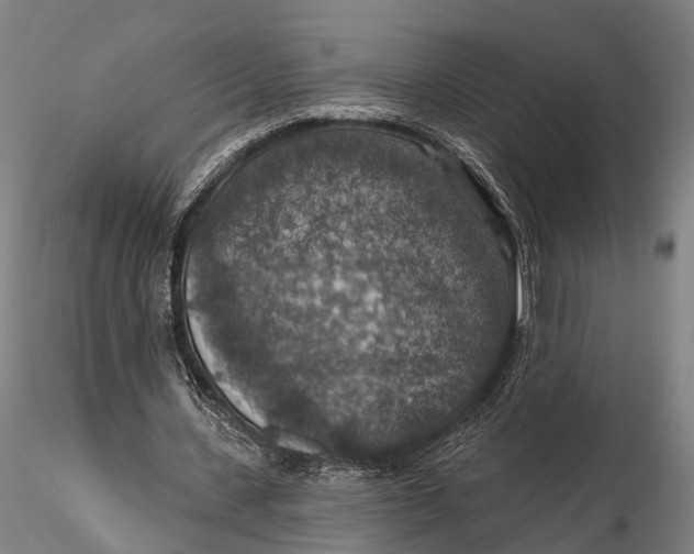 X0000115610531200912011553